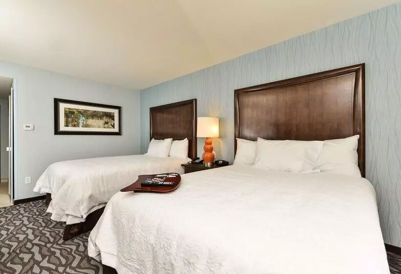 ホテル Hampton Inn Corning/painted Post