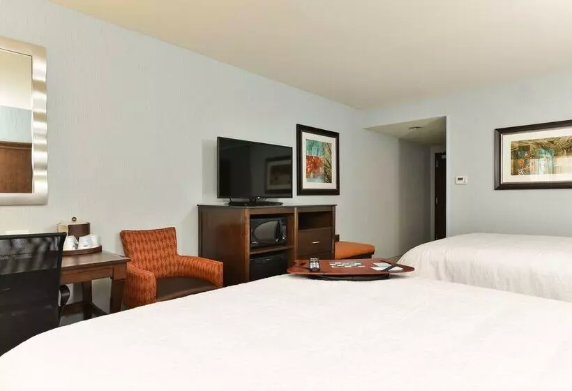 ホテル Hampton Inn Corning/painted Post