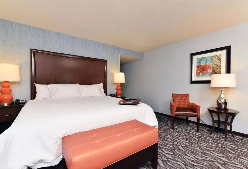 ホテル Hampton Inn Corning/painted Post