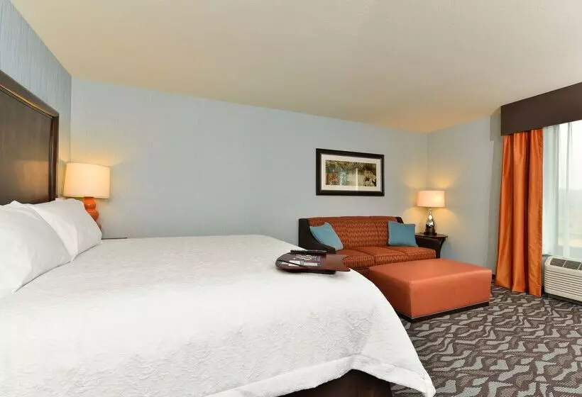 ホテル Hampton Inn Corning/painted Post