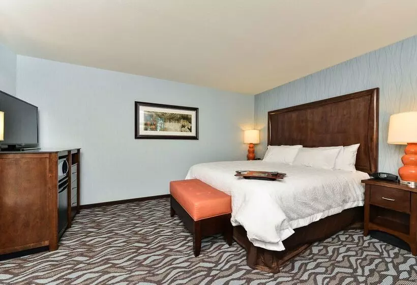 ホテル Hampton Inn Corning/painted Post