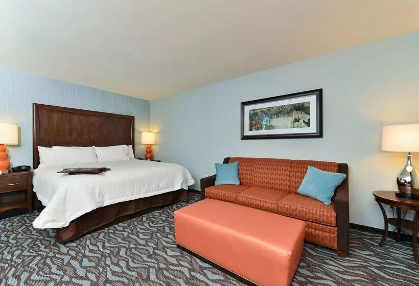 ホテル Hampton Inn Corning/painted Post