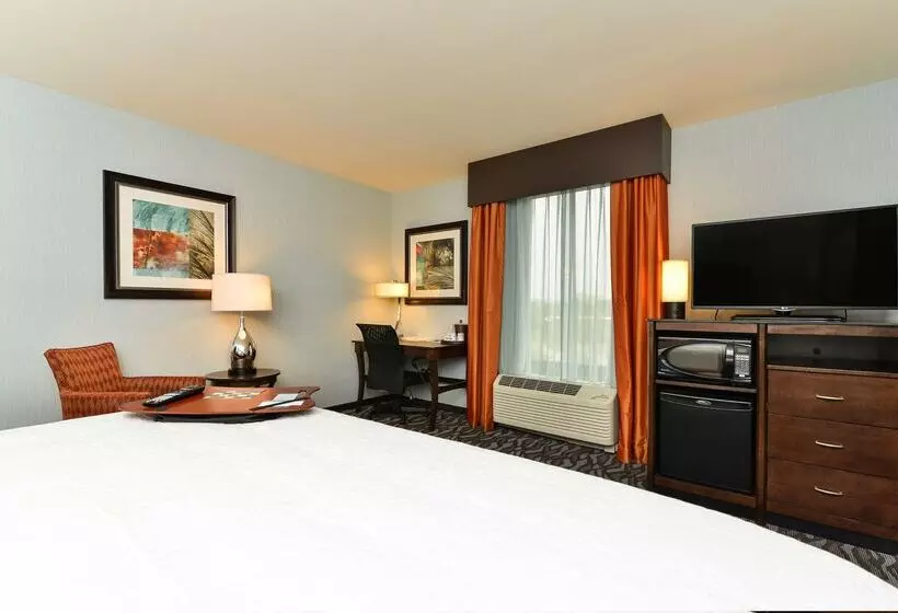 ホテル Hampton Inn Corning/painted Post