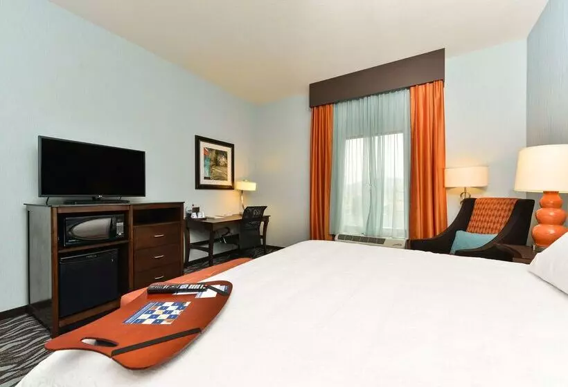 ホテル Hampton Inn Corning/painted Post
