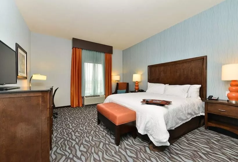 ホテル Hampton Inn Corning/painted Post