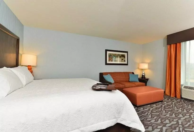 ホテル Hampton Inn Corning/painted Post