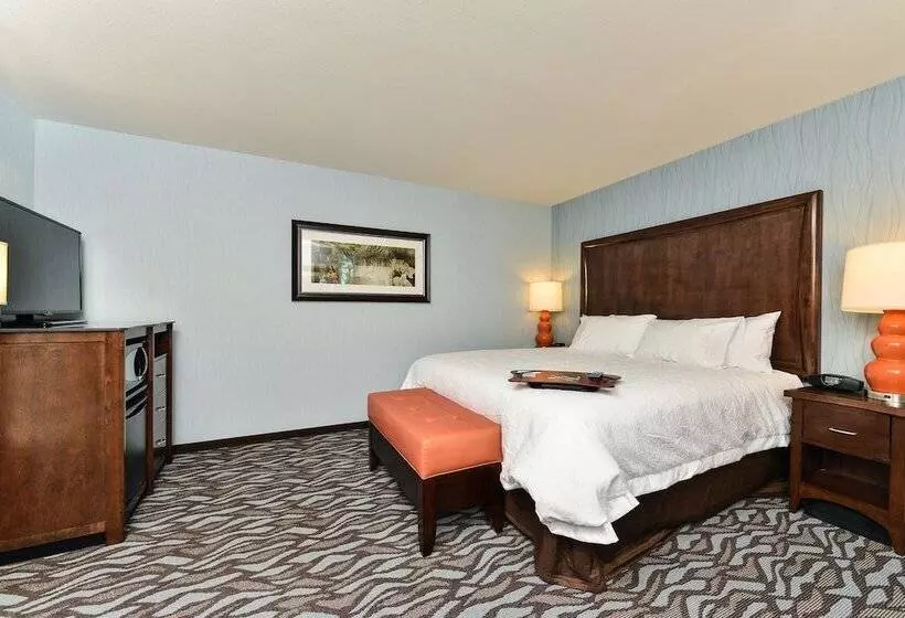 ホテル Hampton Inn Corning/painted Post