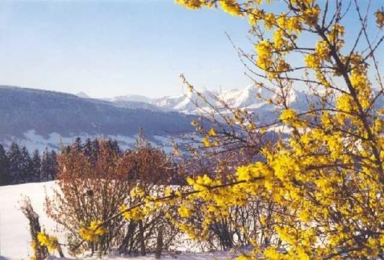 فندق Haus Dreiländerblick