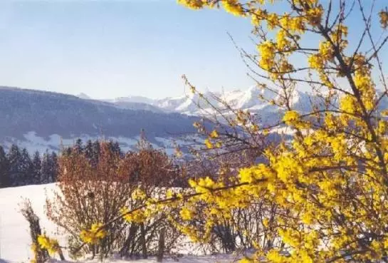 酒店 Haus Dreiländerblick