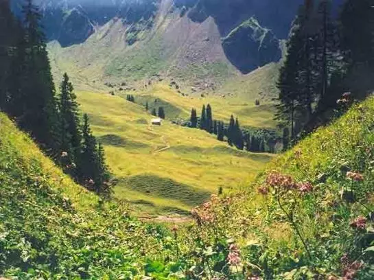 酒店 Haus Dreiländerblick