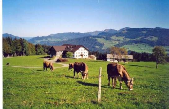 فندق Haus Dreiländerblick