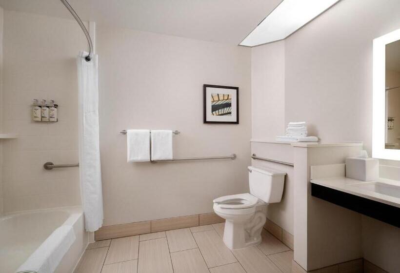 호텔 Holiday Inn Express And Suites New Orleans Airport, An Ihg