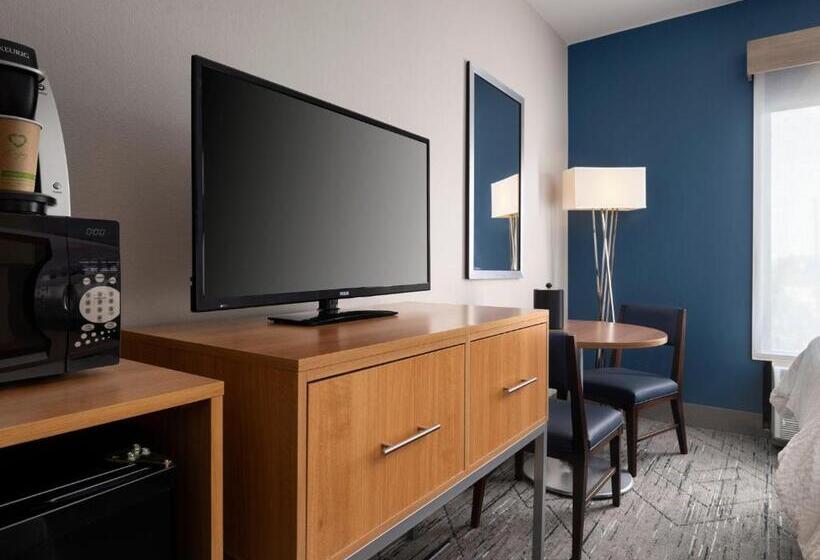 호텔 Holiday Inn Express And Suites New Orleans Airport, An Ihg