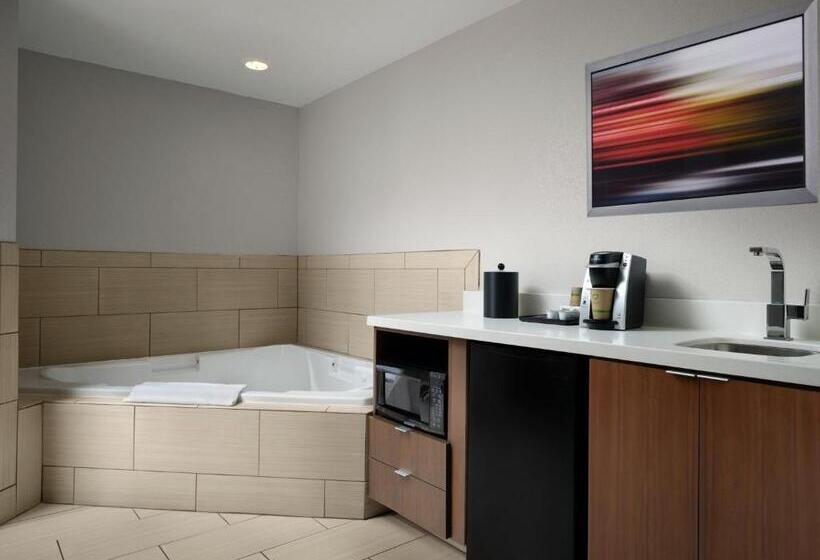 호텔 Holiday Inn Express And Suites New Orleans Airport, An Ihg