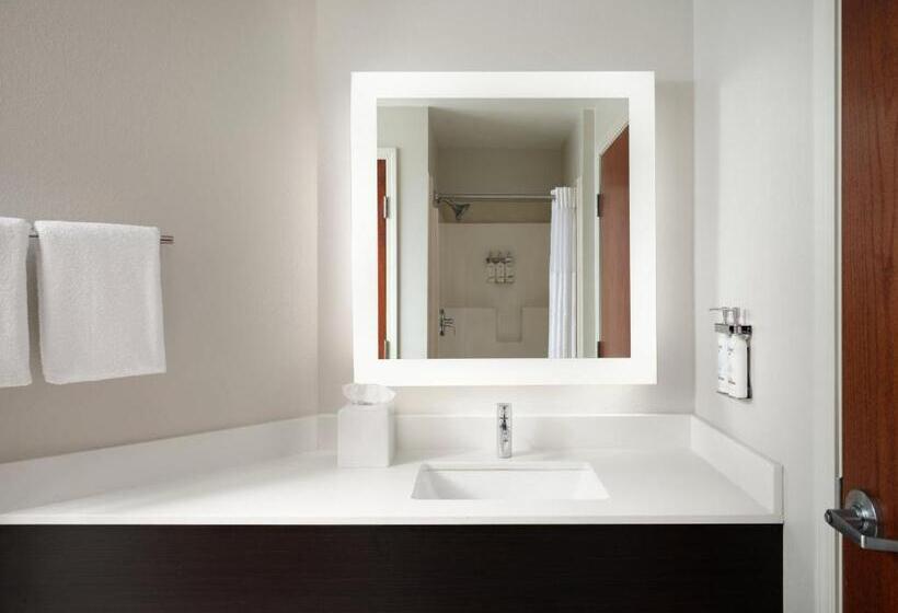 호텔 Holiday Inn Express And Suites New Orleans Airport, An Ihg