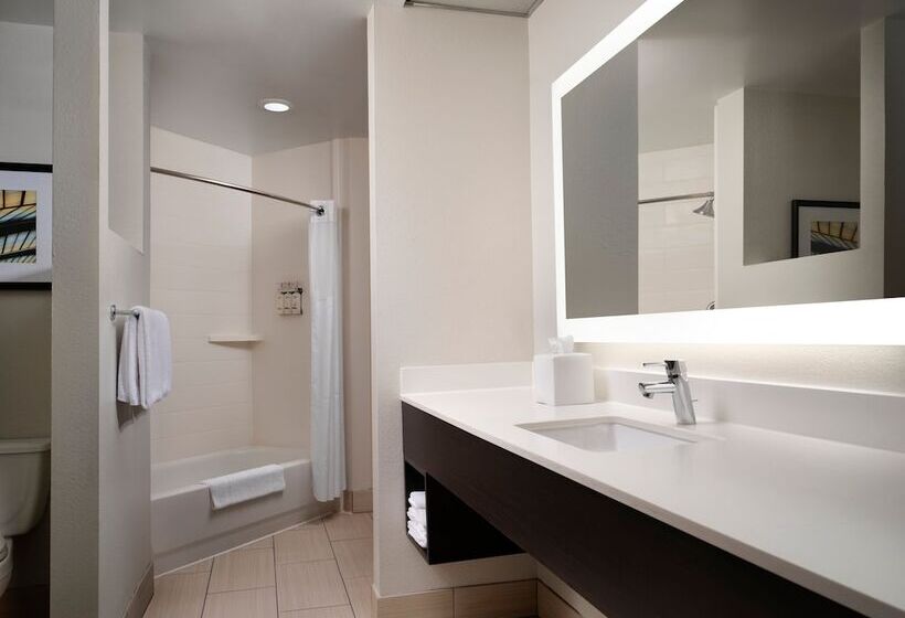 호텔 Holiday Inn Express And Suites New Orleans Airport, An Ihg