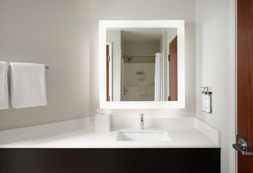 호텔 Holiday Inn Express And Suites New Orleans Airport, An Ihg