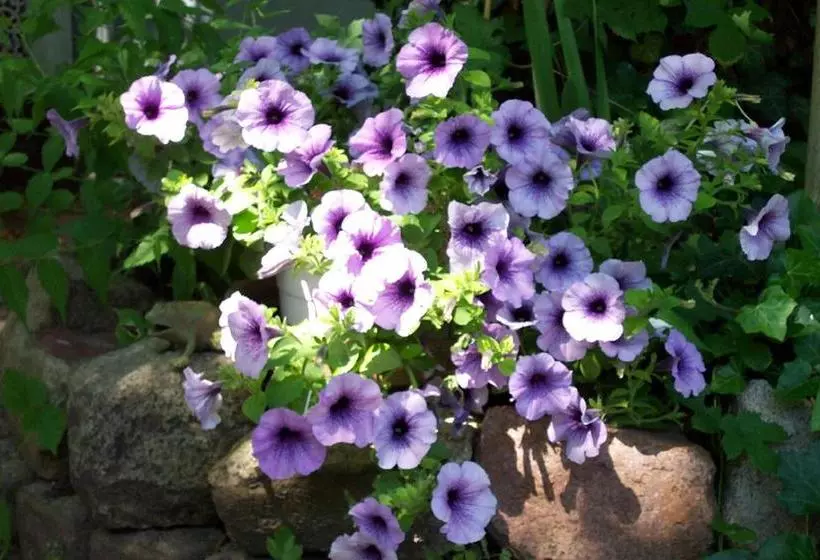 فندق Remise Blumberg