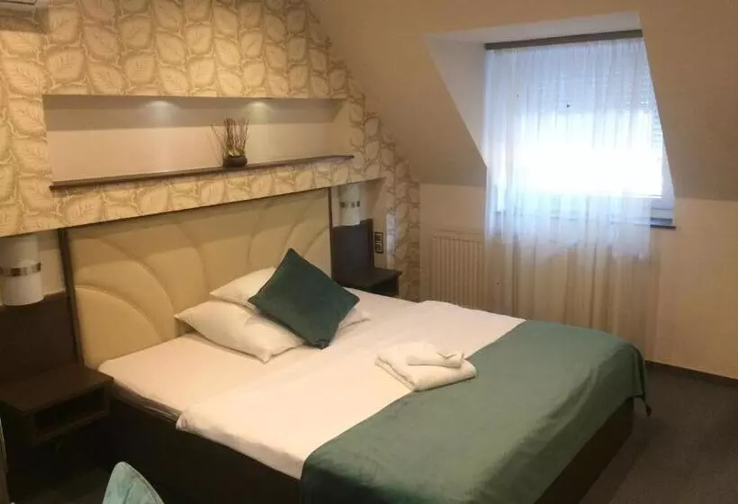 Hotel Tulipan Panzio