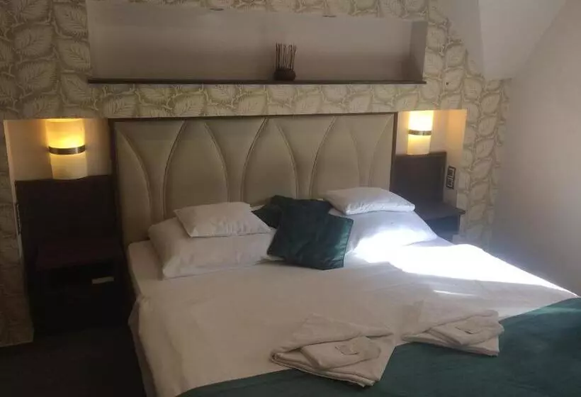 Hotel Tulipan Panzio