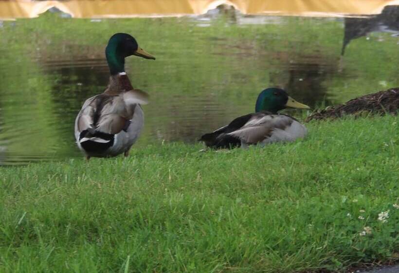 فندق Village Inn Blowing Rock