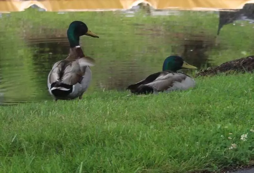 Szálloda Village Inn Blowing Rock