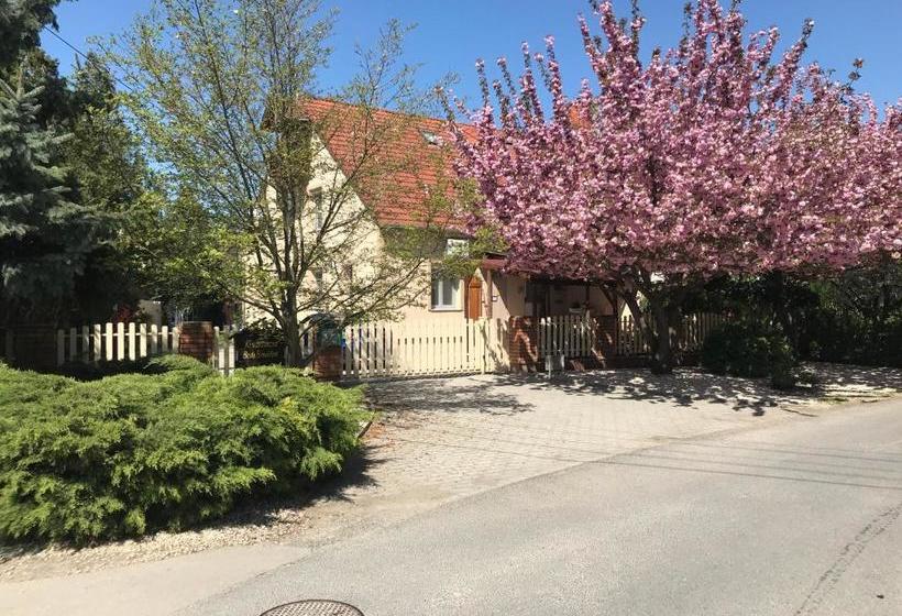 بنسيون Kis Szárcsa Vendégház