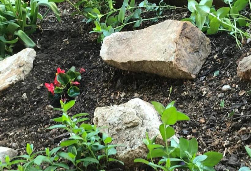 بنسيون Kis Szárcsa Vendégház