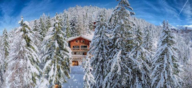 Chalet Dakota, Pied Des Pistes, 15 Pers, La Plagne