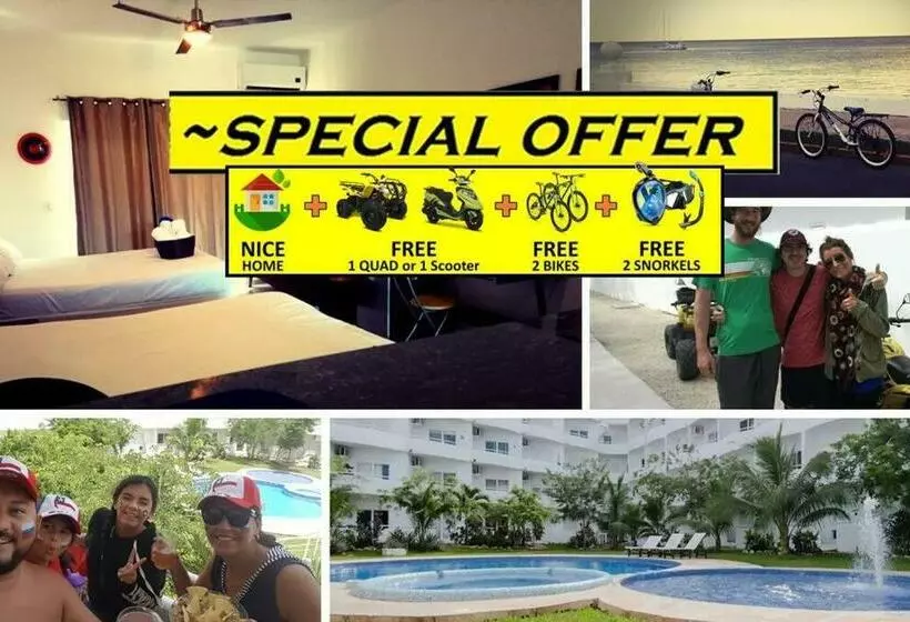 ヅ Ssuite + Gratis