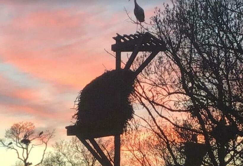 Cosy Apartment With Swimming Pool And Spacious Private Terrace