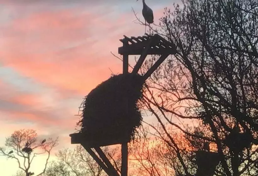 Cosy Apartment With Swimming Pool And Spacious Private Terrace