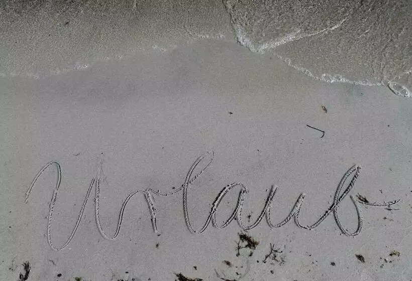 Ferienwohnung Seeschwalbe Im Birkenhof Am Meer Ofc 09