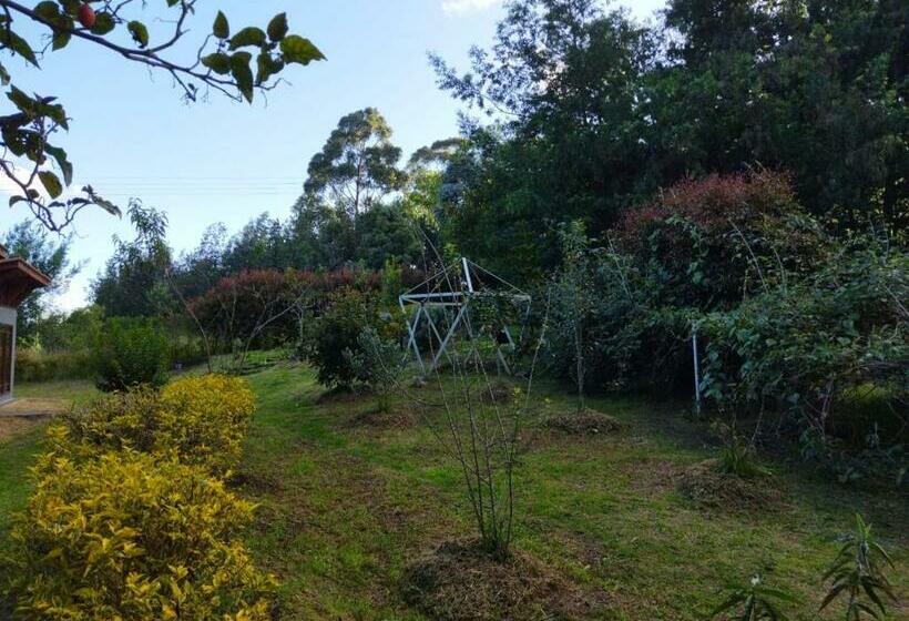 Casa De Encuentro Eucaliptus