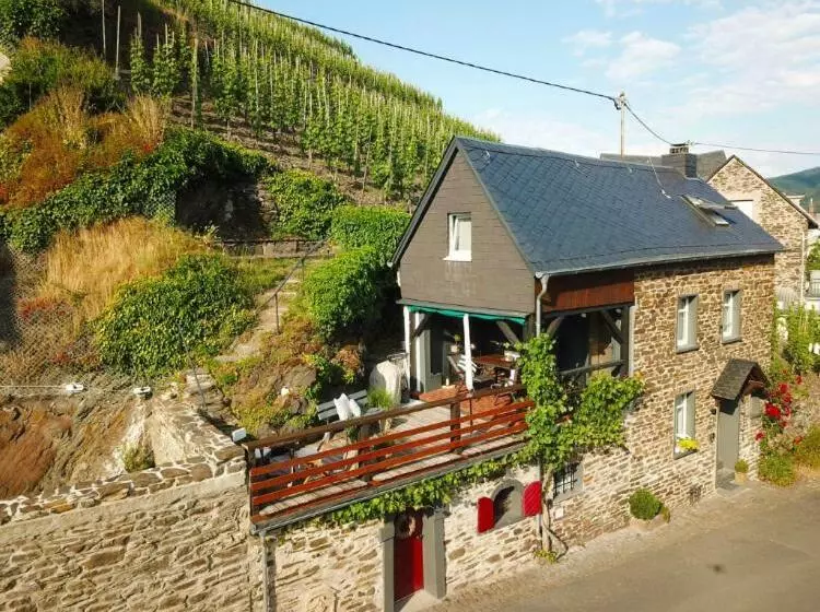 Ferienhaus Goldstück Wohnen Im Weinberg