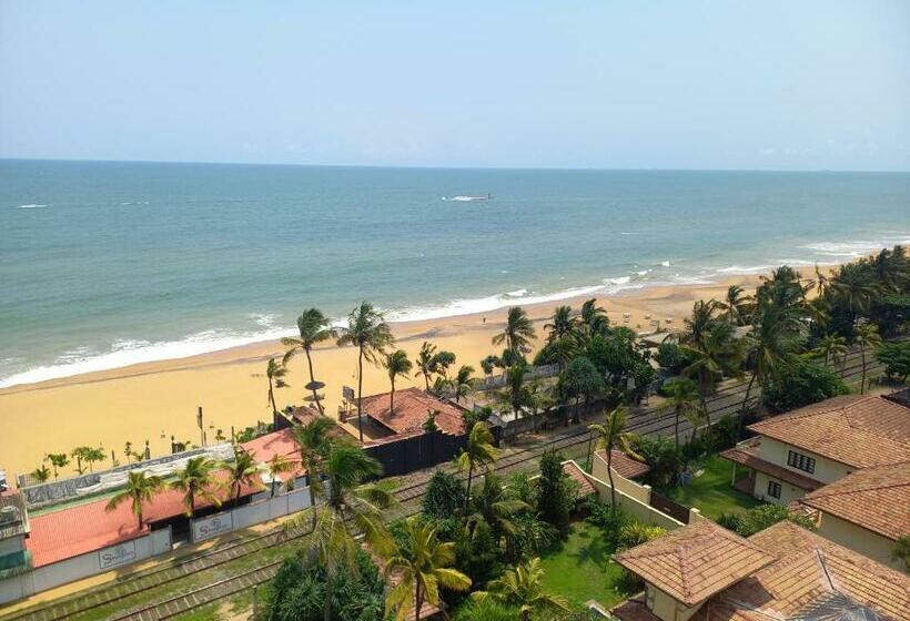 Ivy Apartment  Lotus