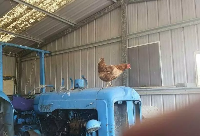 Handsome Hills Dairy Retreat