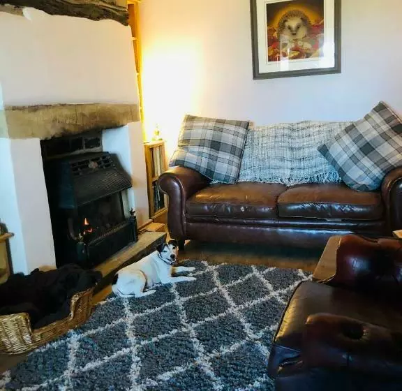 Hedgehog Cottage With Garden In Bronte Village!