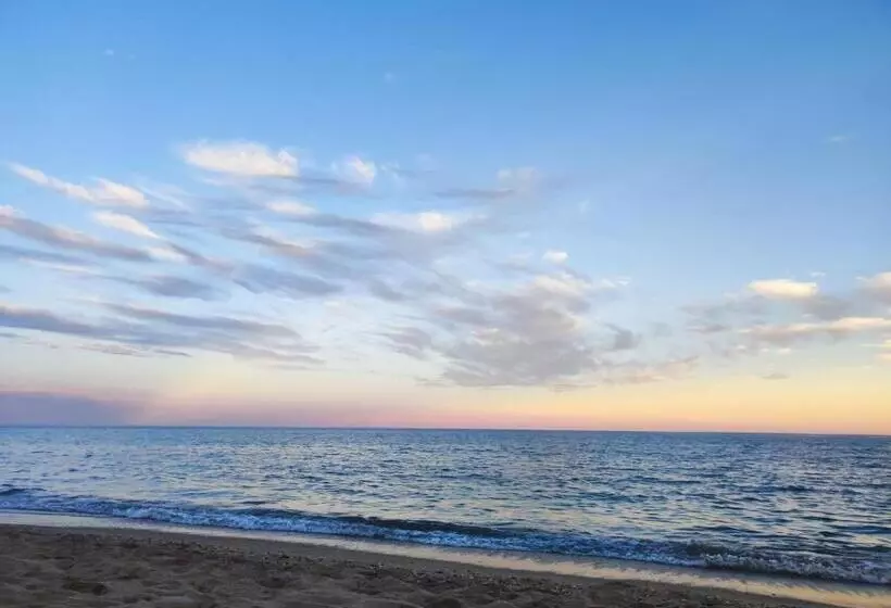 L Ostra De L Impasse