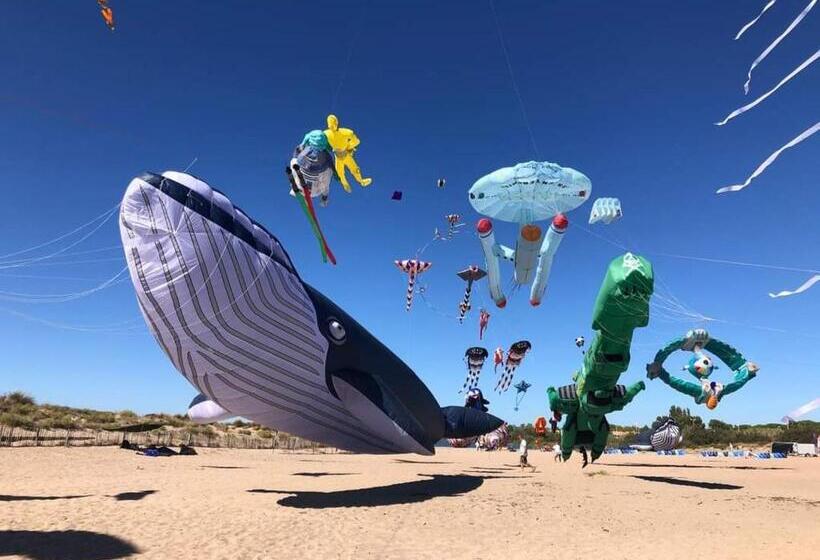 L Ostra De L Impasse