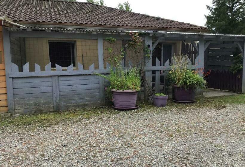 Compreignac F2 Gris/mauve Entier,vue Forêt