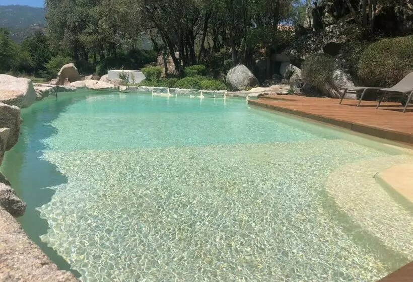 Domaine Pardini