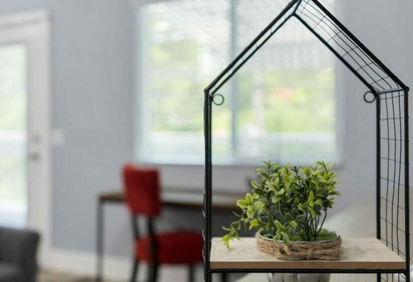 Sea Glass Cottage Minutes To Downtown St Pete And The Beaches