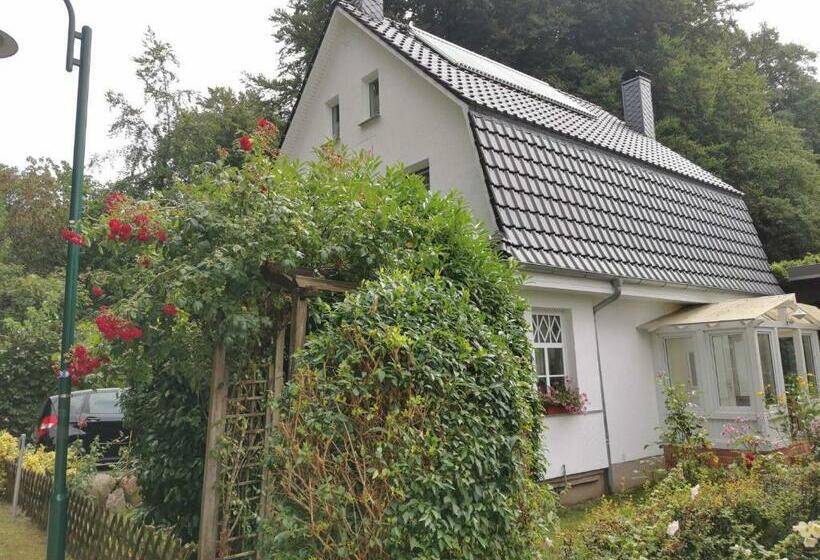 Rügen Fewo 91 Buchenwinkel