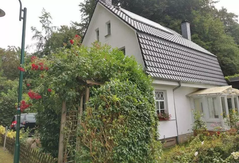 Rügen Fewo 91 Buchenwinkel