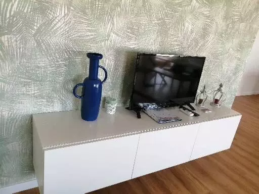 Zélu Apartamento Centro Da Guarda