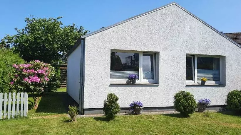 Cosy House