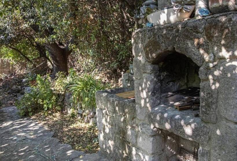 Cozy And Secluded House With Garden In Bodrum