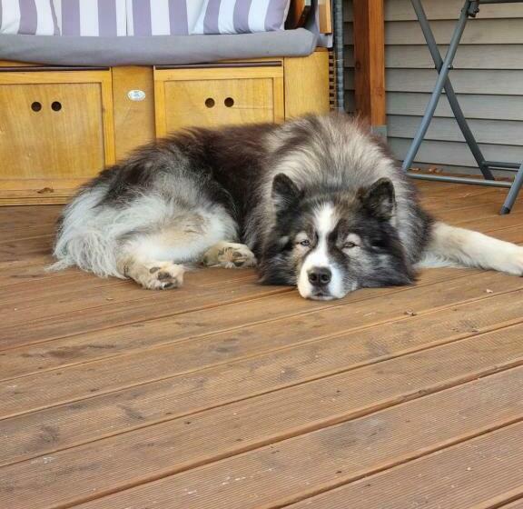 Storchenhof Mobilheim 1