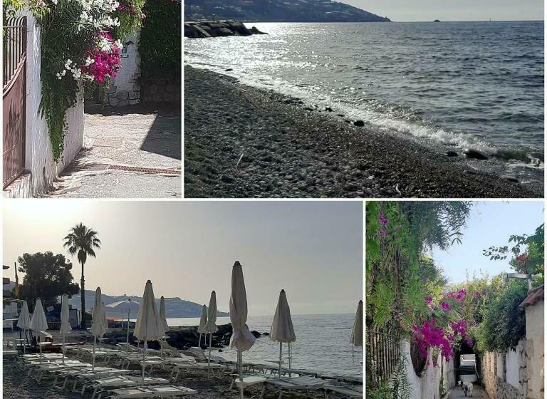 Almaredasedy1 Appartamento 50m Dalla Spiaggia Con Posto Auto